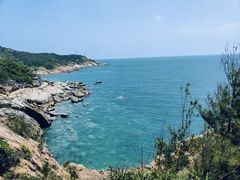 -广东惠东海龟国家级自然保护区