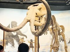 -辽宁古生物博物馆