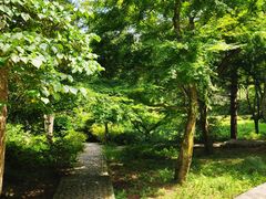 -庐山风景区花径公园