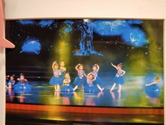 -红舞鞋舞蹈教育(近江校区)