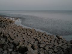 -南汇新城海滩