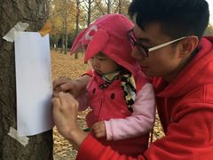 -美国悦宝园早教托育中心(东坝店)