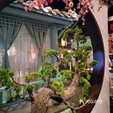 用餐环境也能这么美！