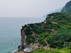 -杨梅坑