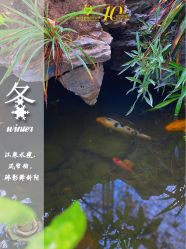 -爱贝乐妈咪月子中心