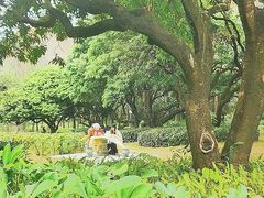 -荔香公园