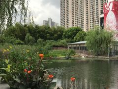 -苏州河梦清园环保主题公园