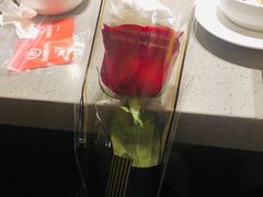 -海底捞火锅(金光华店)