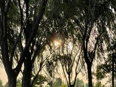-北龙湖湿地公园
