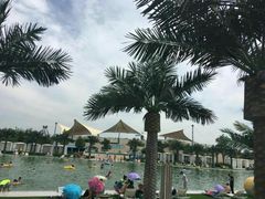 -秦皇岛乐岛海洋王国