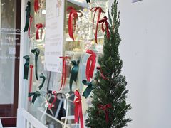 -溪岸路花鸟市场