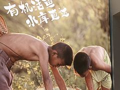 -后湖小院·乡野田园菜