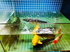 -迎晨餐厅(青芝坞店)