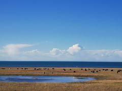 -青海湖国家重点风景名胜区