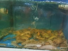 -东江海鲜大排档·潮汕菜·砂锅粥