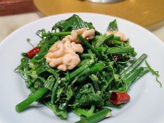 -情满四合院•京菜•烤鸭(动物园店)