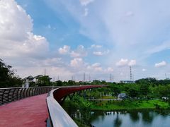 -王借岗森林公园