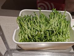 -海底捞火锅(金桥太茂商业广场店)