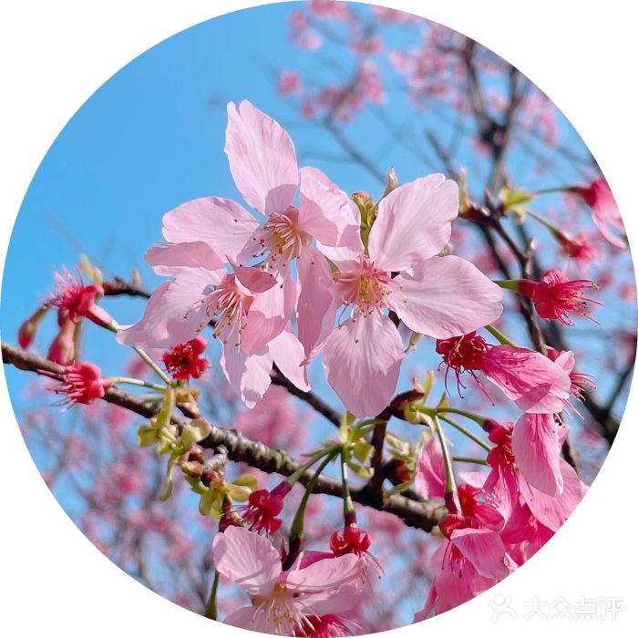 叱石风景区图片