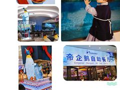 -帝企鹅自助餐厅•儿童岛•真企鹅(长隆企鹅酒店)