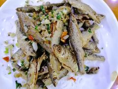 -全乐鱼馆·淳牌有机鱼直营店
