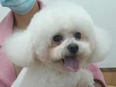 -宠福鑫康馨动物医院·骨科·眼科