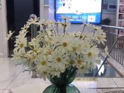 -蕾特恩专业祛痘·皮肤管理