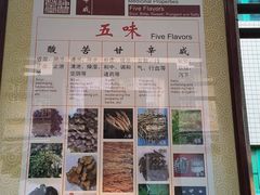 -广州神农草堂中医药博物馆