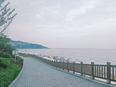 -傅家庄公园