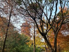 -厦门园林博览苑