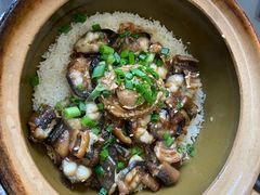-红星光发煲仔饭(文海店)
