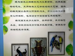 -上海昆虫博物馆