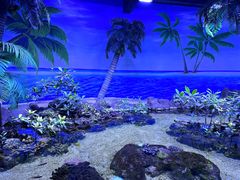 -郑州海洋馆