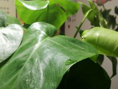 -御筋堂正骨推拿(星源国际店)