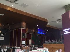 -海桐