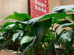 -乐凯撒披萨(喜荟城店)