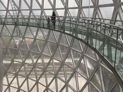 -陕西自然博物馆