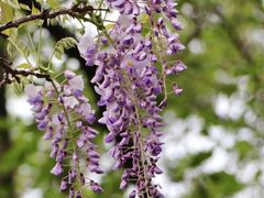 -尹兰楼西北风情餐厅(嘉定店)