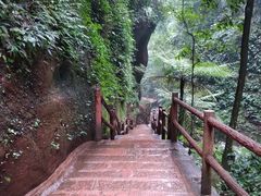 -赤水丹霞旅游区·佛光岩