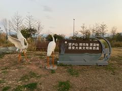 -西昌邛海湿地