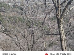 -香山公园