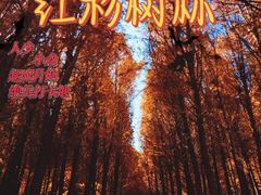 -捞渔河湿地公园