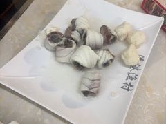 -源港渔村-中山脆肉鲩(博罗店)