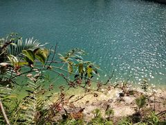 -广州市流溪河国家森林公园