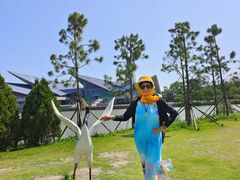 -盐城丹顶鹤湿地生态旅游区