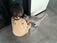 -贝康宠物医院·犬猫全科·小动物特色诊疗中心(东环路店)