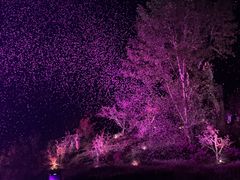 -常德桃花源景区