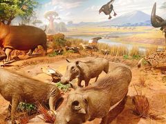 -陕西自然博物馆