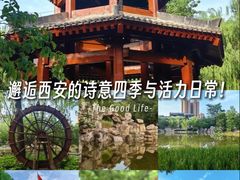 -西安市长乐公园
