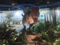 -陕西自然博物馆